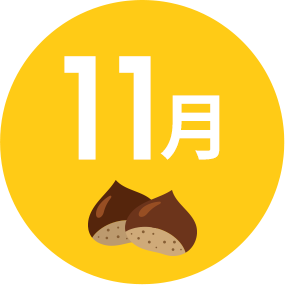 11月
